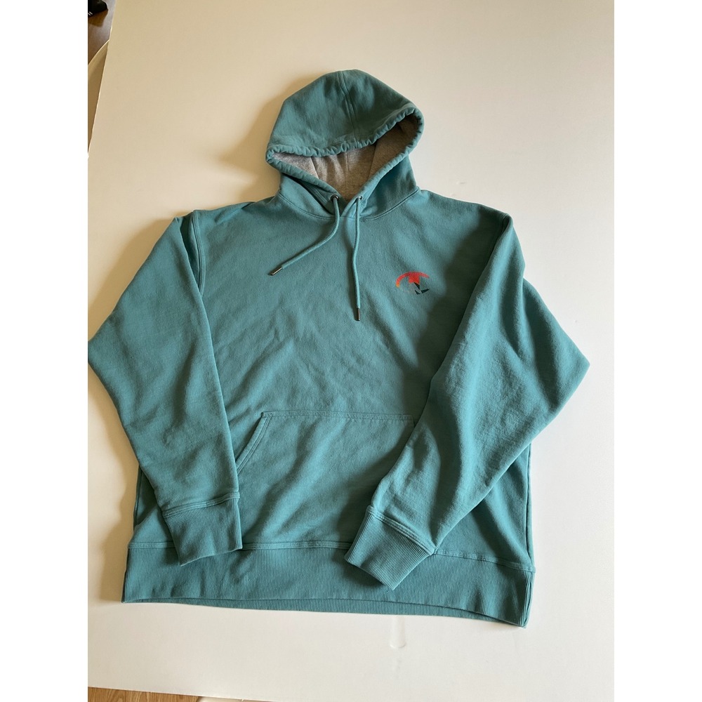 Champion Mens XL‎ Teal Blue Graphic Fleece Hoodie Sweatshirt Mountain Logo